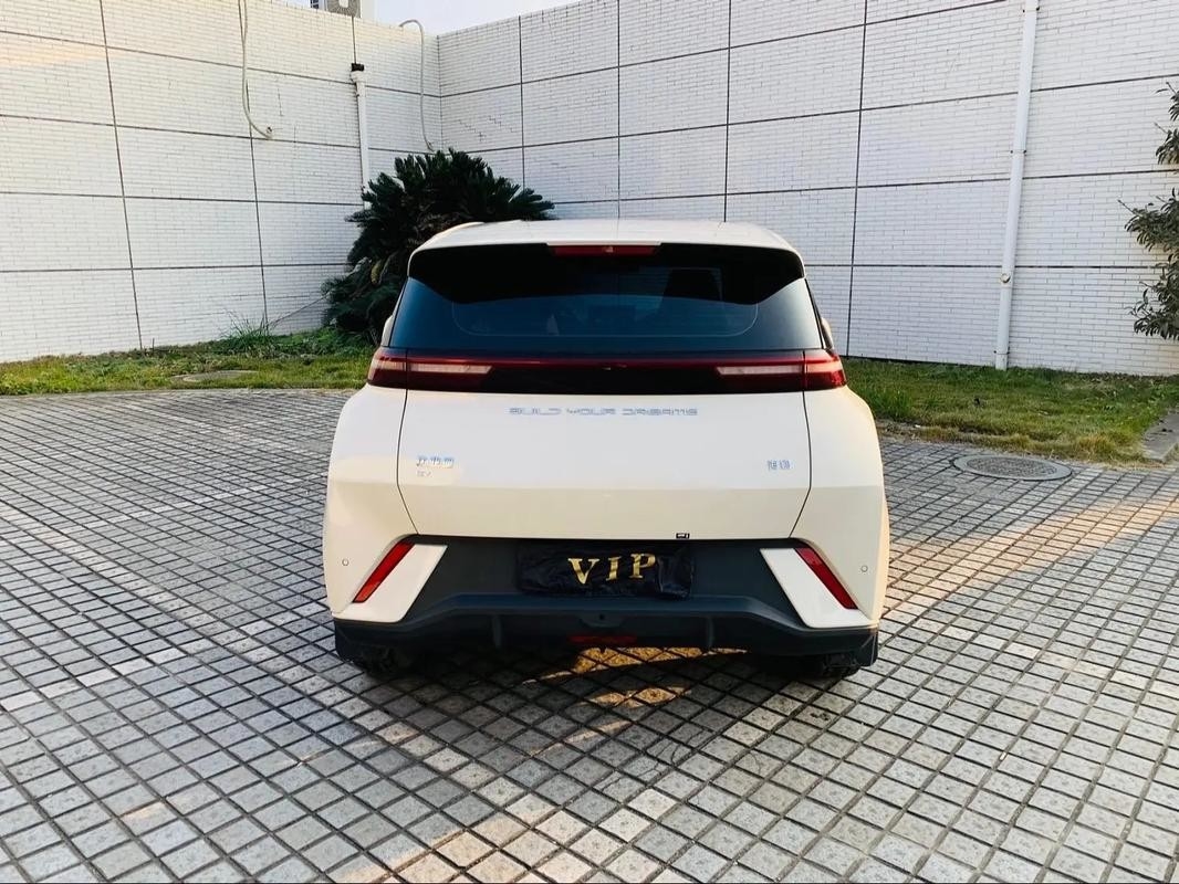 Byd Seagull 2024 Honor Edition 305km Δωρεάν έκδοση Ηλεκτρικό αυτοκίνητο Νέα ενέργεια οχήματα